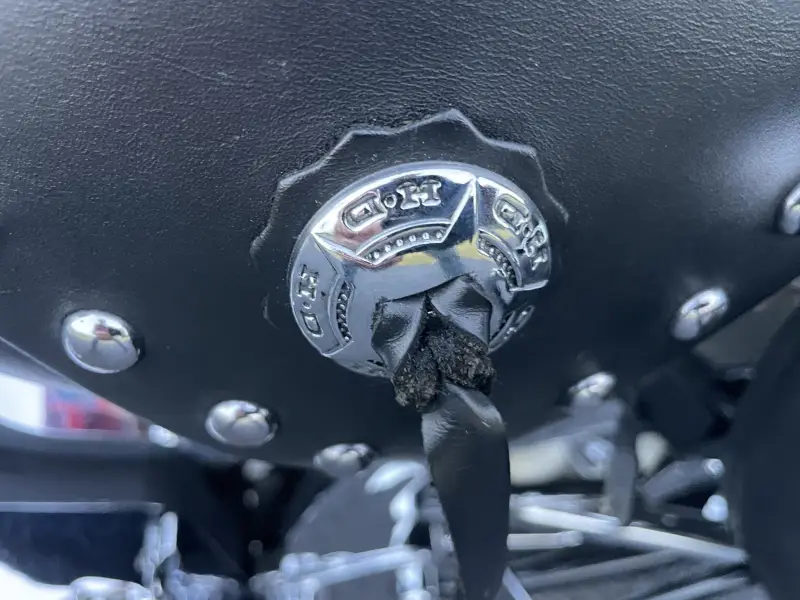 1995 Harley-Davidson Heritage Softail Classic photo 49
