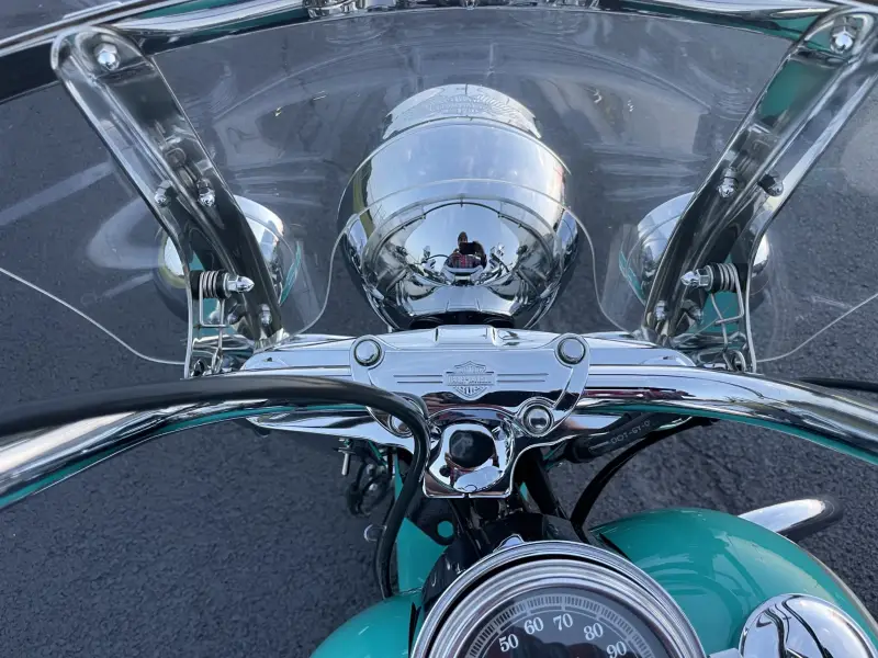 1995 Harley-Davidson Heritage Softail Classic photo 8